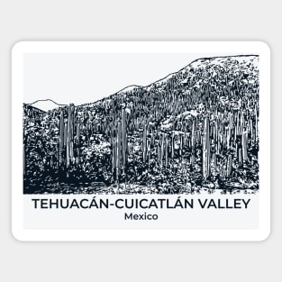 Tehuacán-Cuicatlán Valley - Mexico Magnet